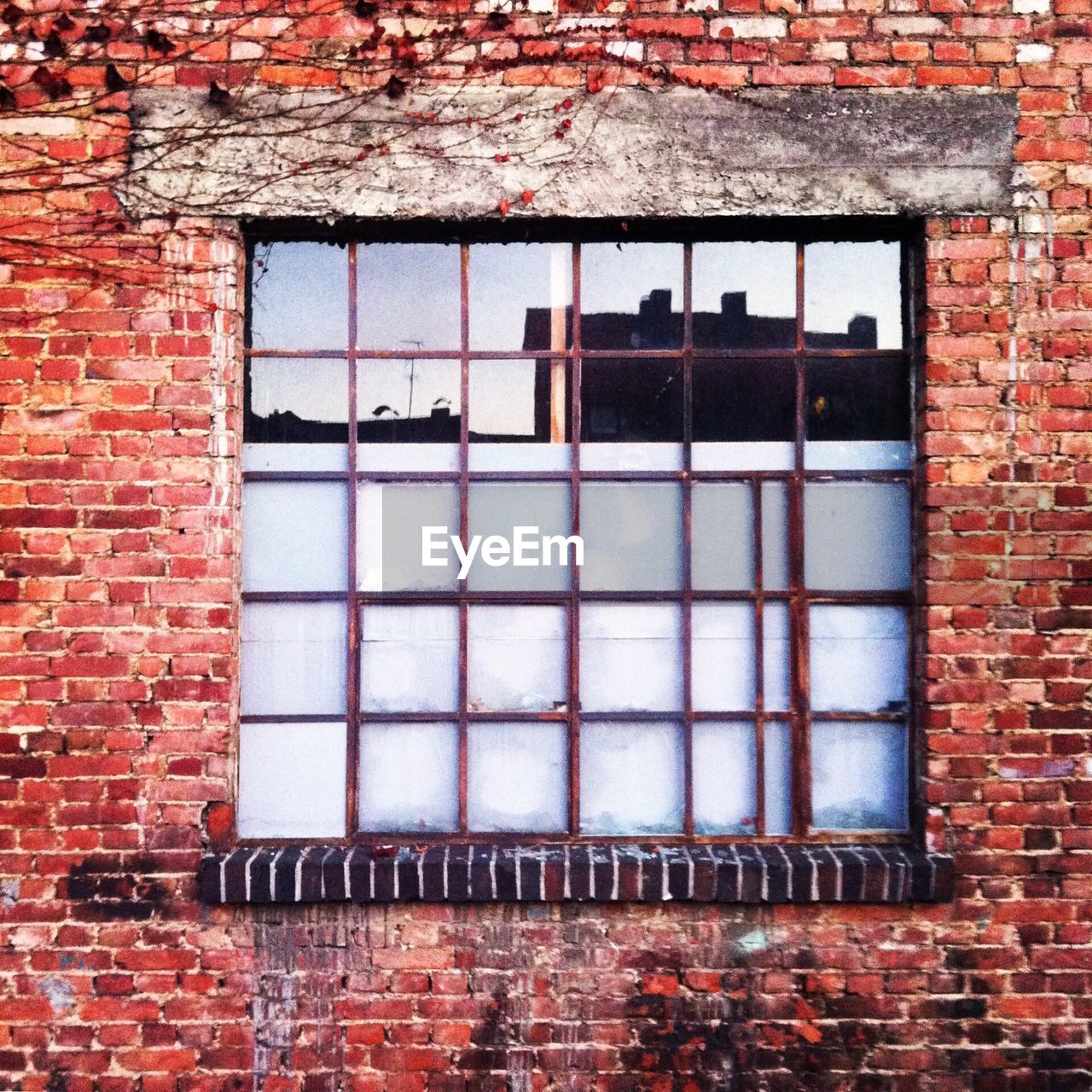 WINDOW OF ABANDONED HOUSE