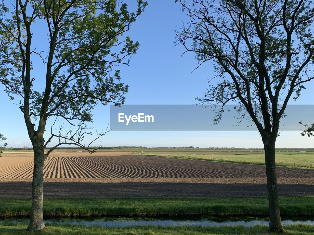 AGRICULTURAL FIELD AGAINST SKY