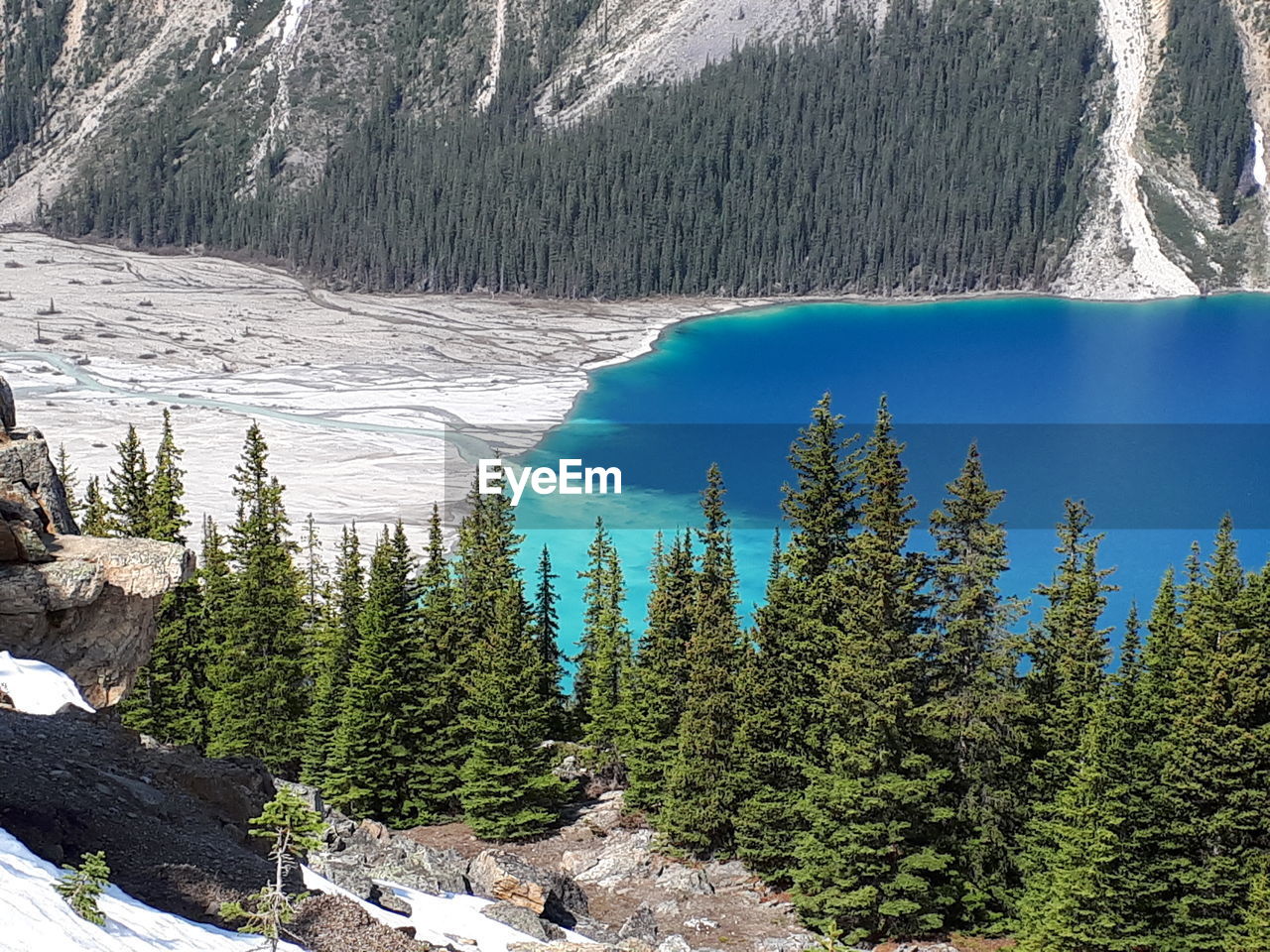 HIGH ANGLE VIEW OF PINE TREES BY LAKE AGAINST MOUNTAIN