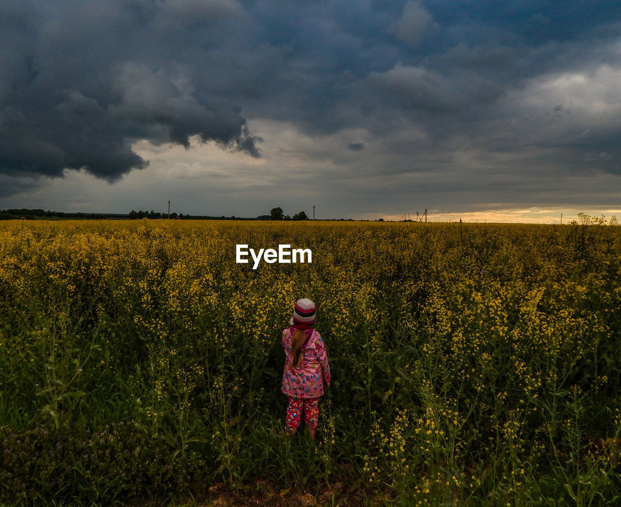 Rear view of girl standing at rape field against storm clouds