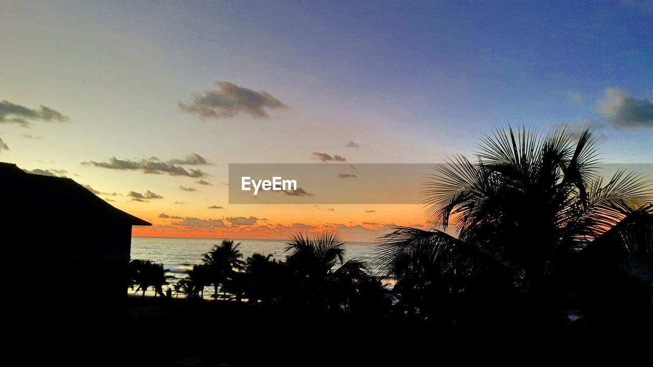 SILHOUETTE PALM TREES AGAINST SEA DURING SUNSET