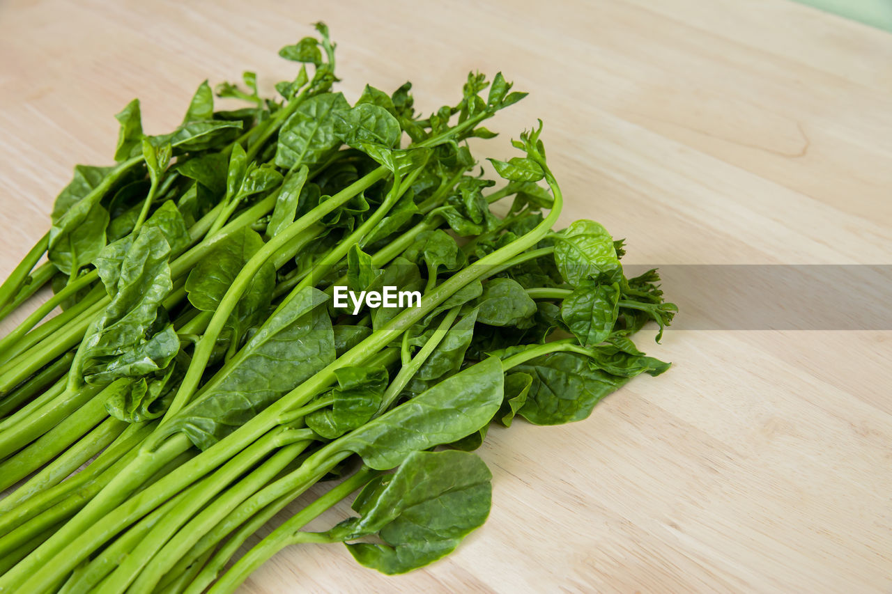 HIGH ANGLE VIEW OF FRESH GREEN LEAVES ON TABLE