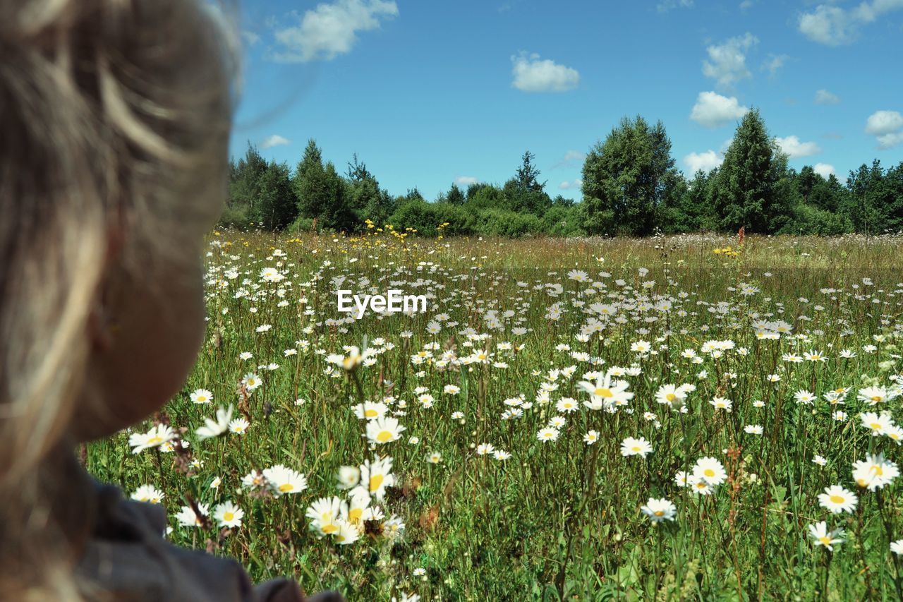 Cropped image of woman looking at flowers blooming on field