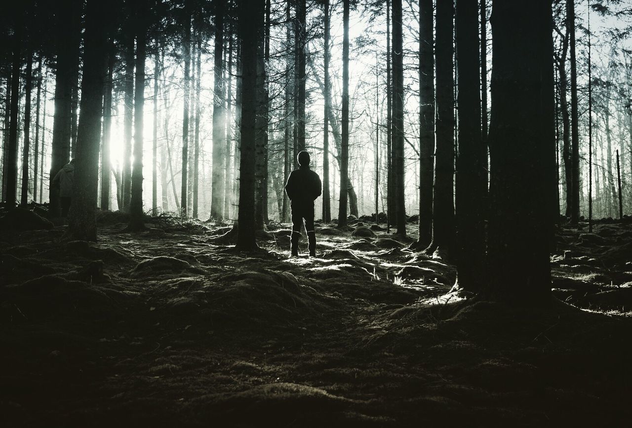 SILHOUETTE MAN WALKING IN FOREST