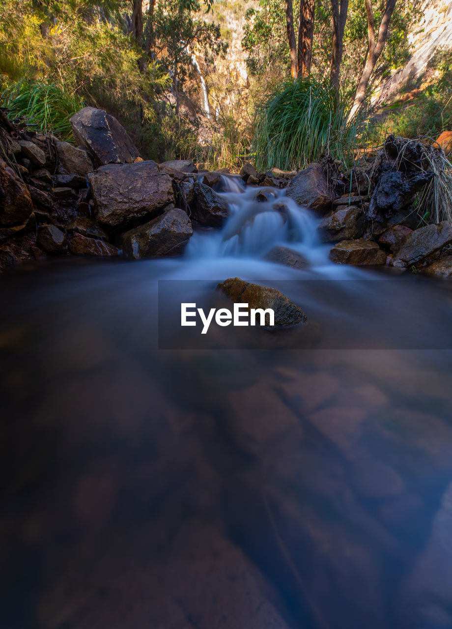 Surface level of stream flowing in forest