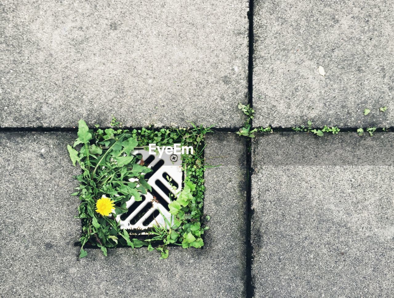 High angle view of gutter on footpath