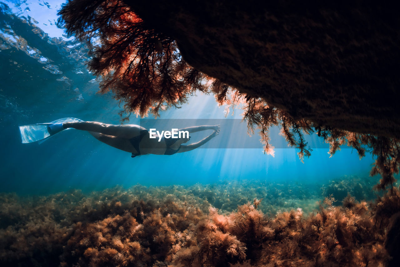 side view of woman swimming in sea