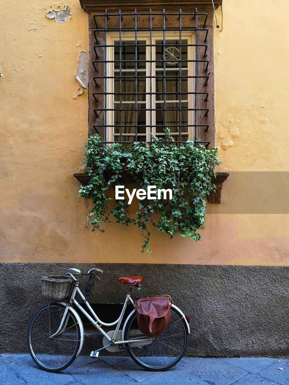 Bicycle against wall of building