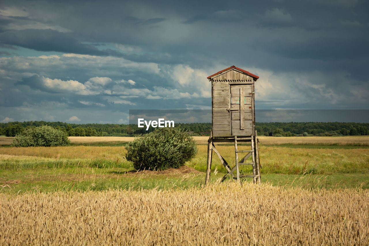 Observation booth with ladder in the grain, horizon and dark clouds on the sky