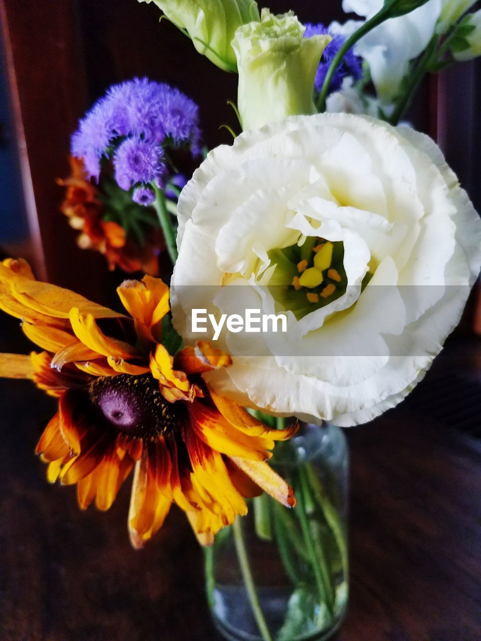 CLOSE-UP OF FLOWER AND INDOORS