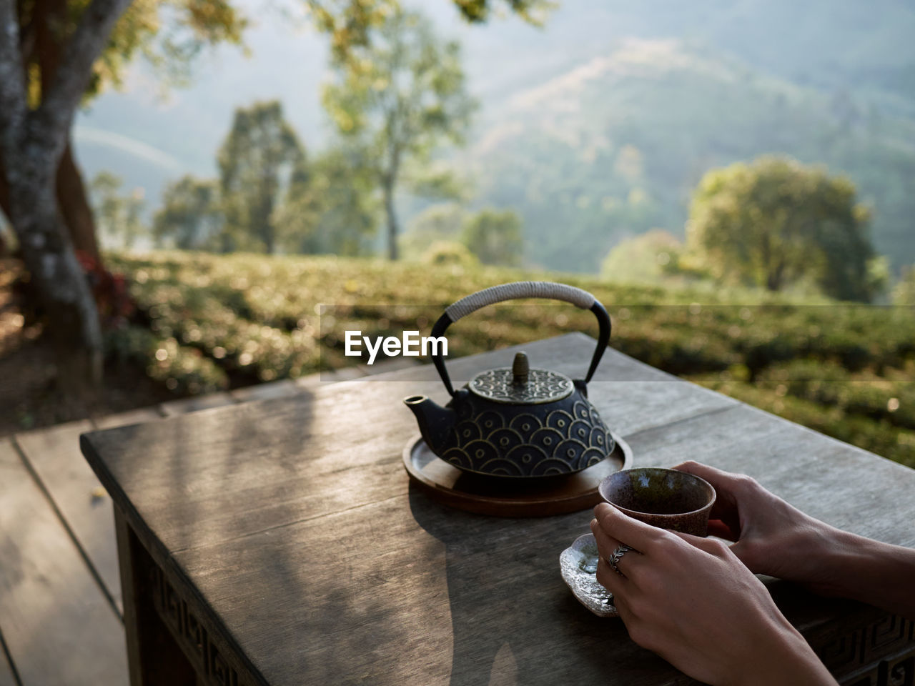 Woman drinking tea in garden