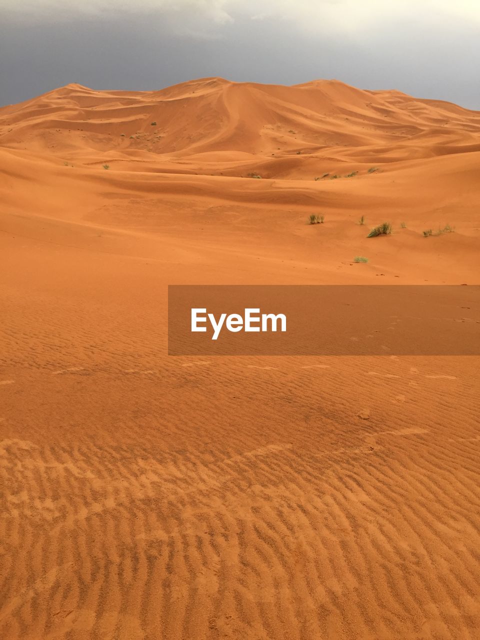 View of a desert
