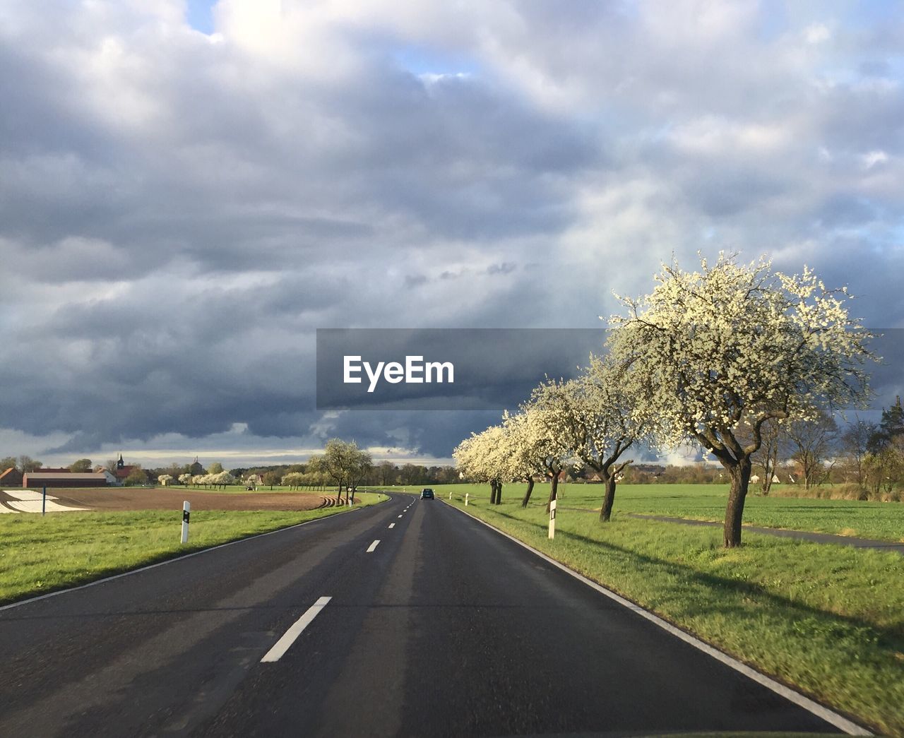 Road by trees against sky