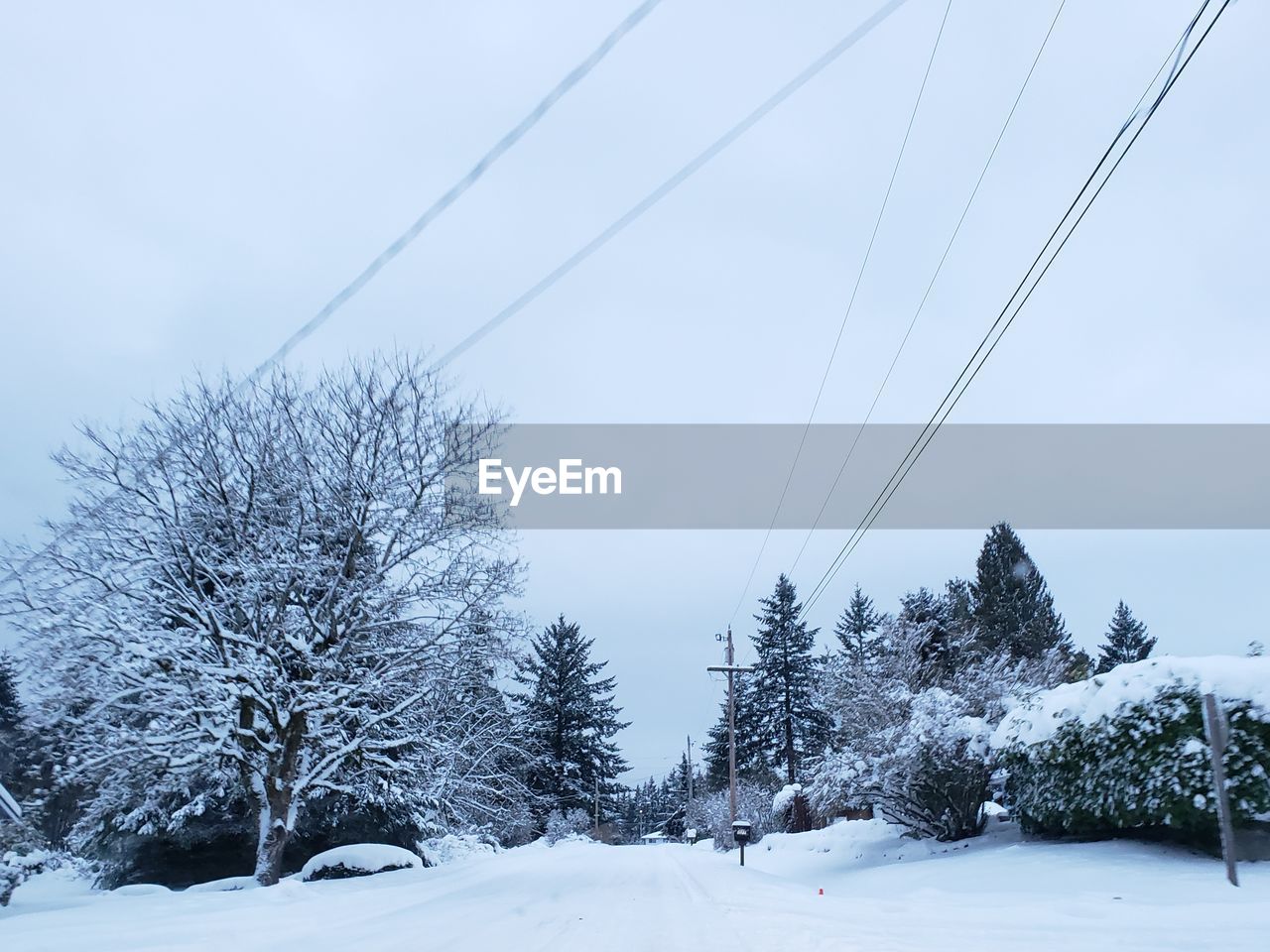 Winter wonderland