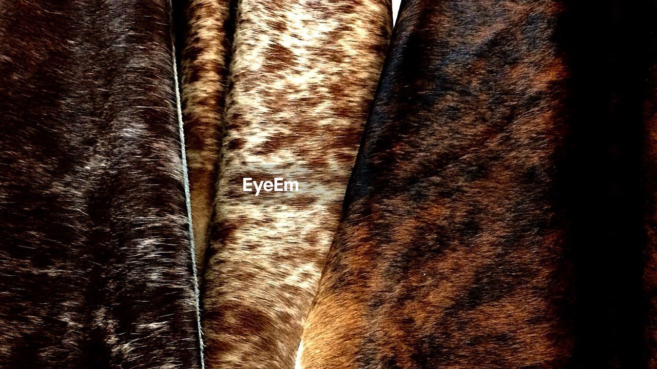 Detail shot of animal skins