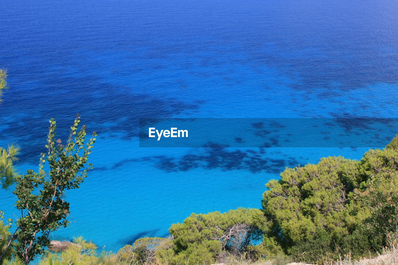 High angle view of trees by sea