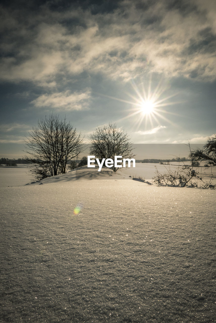 Bare trees on snow field against sky