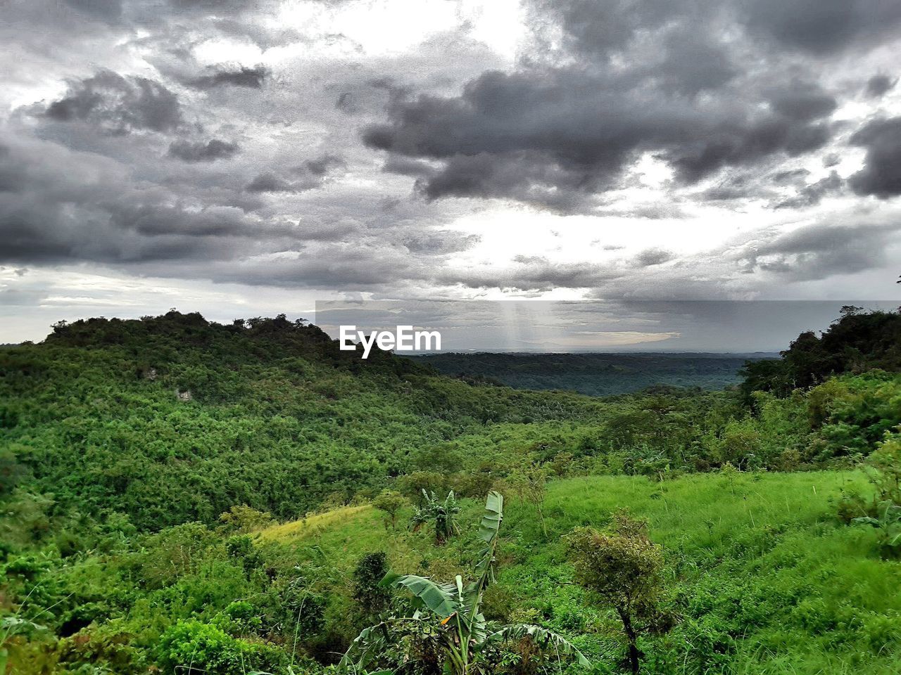 SCENIC VIEW OF GREEN LANDSCAPE AGAINST SKY