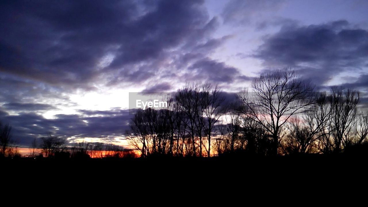 SILHOUETTE TREES AGAINST SKY AT SUNSET