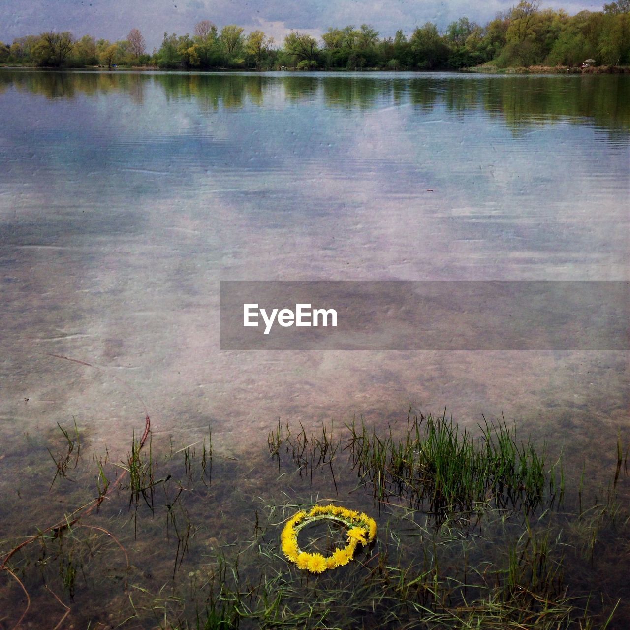 Floral crown in lake