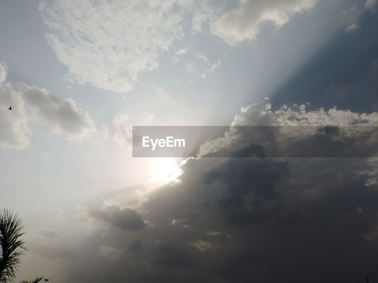 LOW ANGLE VIEW OF SKY AND CLOUDS IN SUNLIGHT