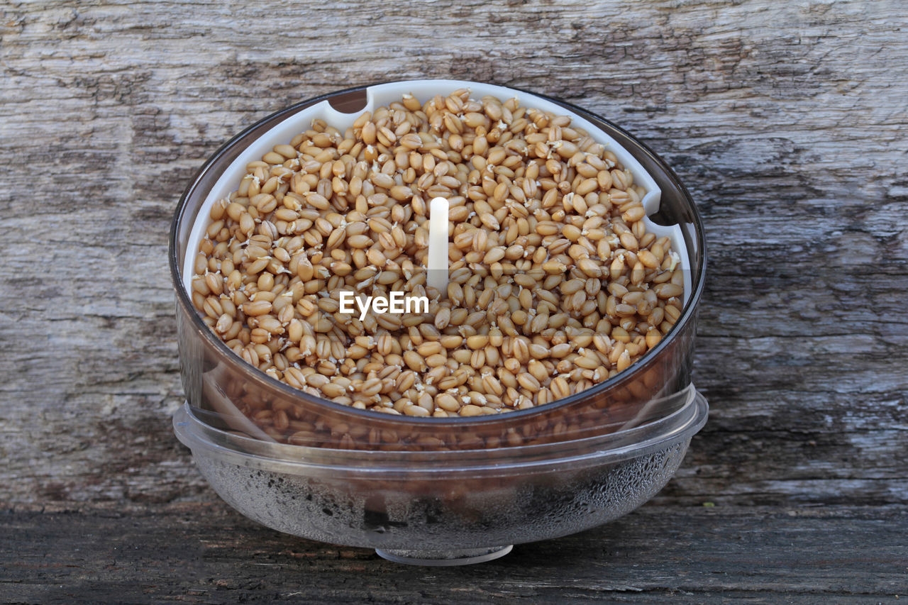 High angle view of wheat seeds