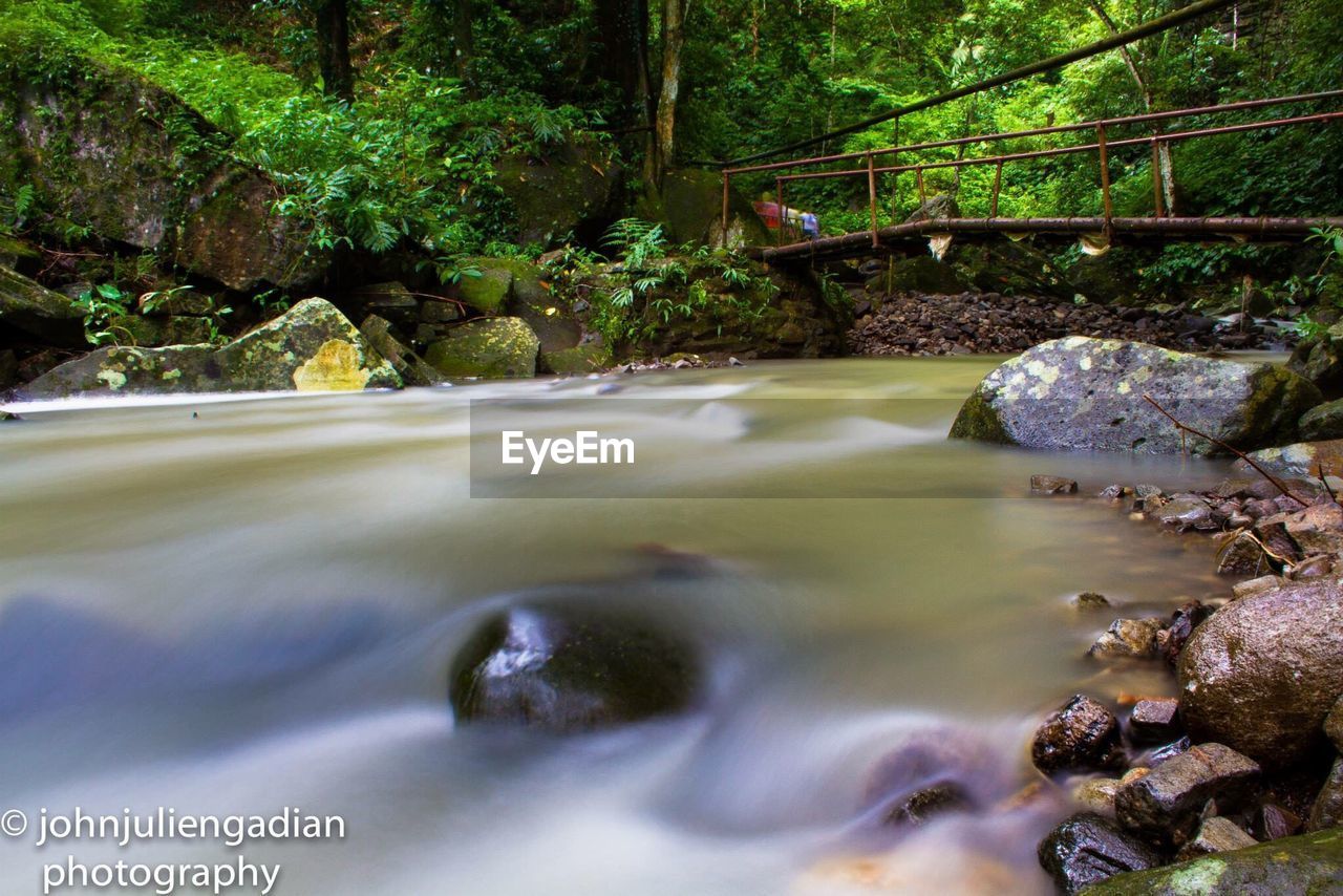 Stream flowing against trees in forest