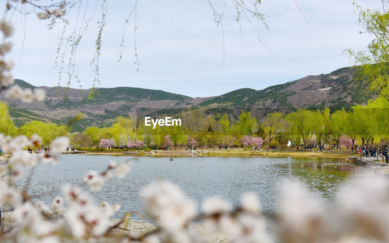 SCENIC VIEW OF MOUNTAINS