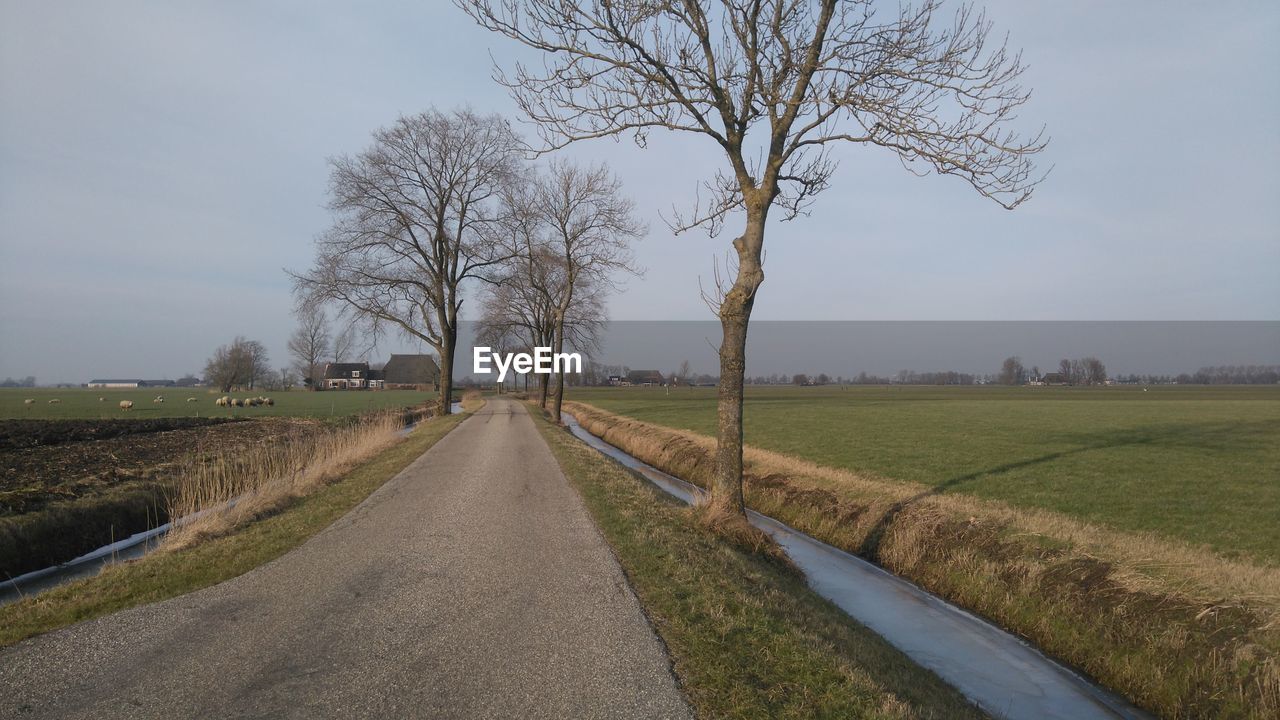 AGRICULTURAL FIELD AGAINST SKY