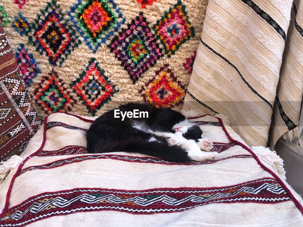 High angle view of cat sleeping on bed