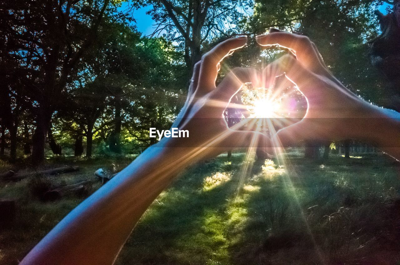 Optical illusion of hands holding sunlight in forest