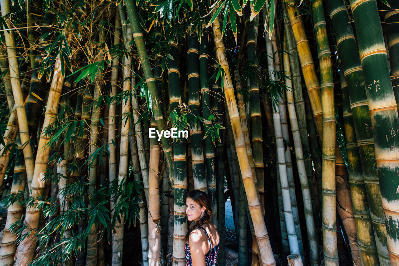 Girl standing by bamboo trees in forest