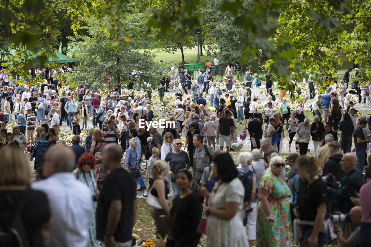 crowd, large group of people, group of people, plant, event, tree, celebration, audience, women, nature, men, day, performance, music, outdoors, lifestyles, arts culture and entertainment, festival, clothing, adult, enjoyment, person, city, leisure activity, music festival