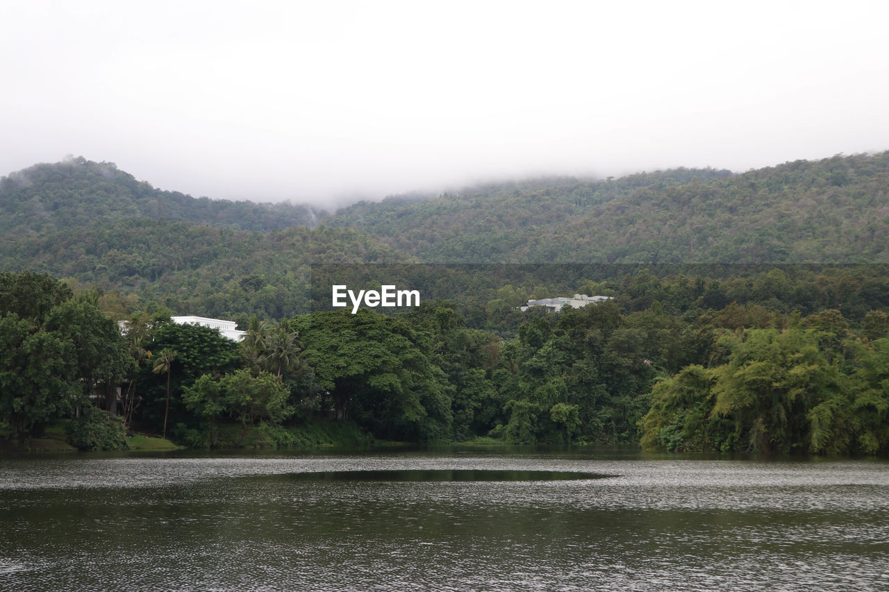 VIEW OF CALM LAKE IN FOREST