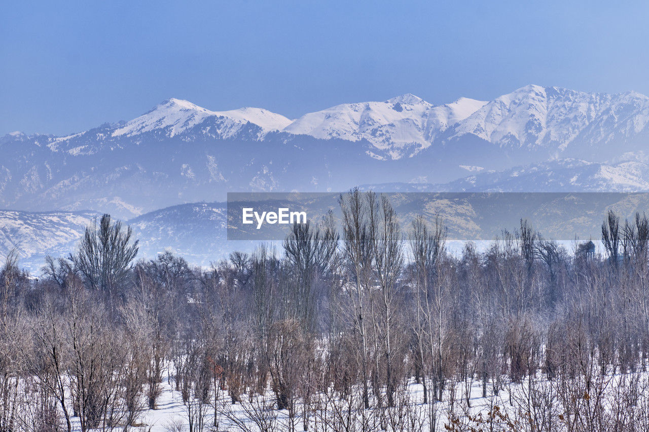 Park of first president, almaty, kazakhstan. mountains of trans-ili alatau,.winter landscape.
