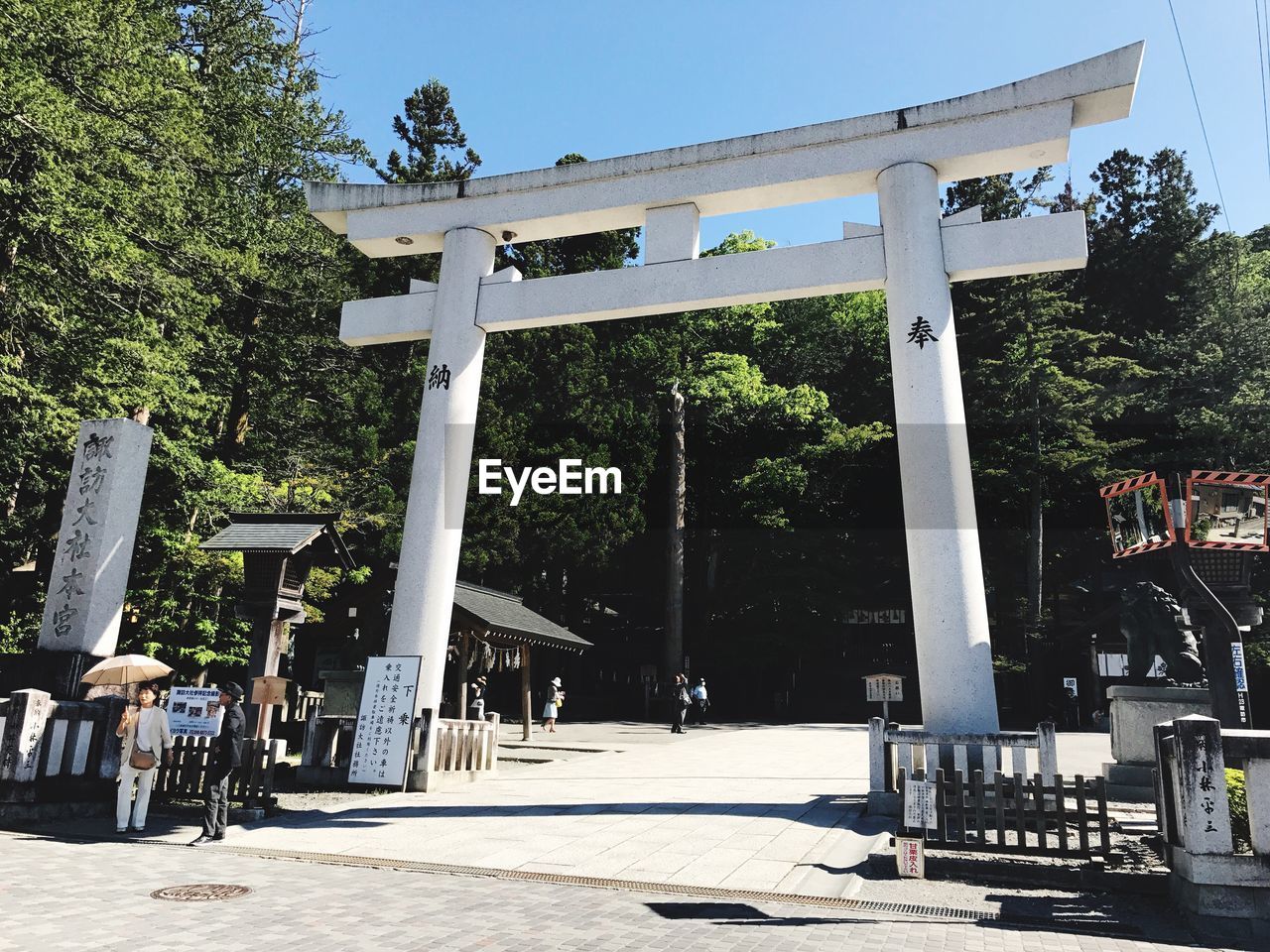 BUILT STRUCTURE AGAINST TREES