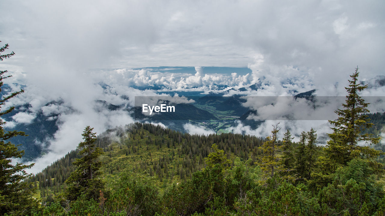 High angle view of trees covered mountains against cloudy sky