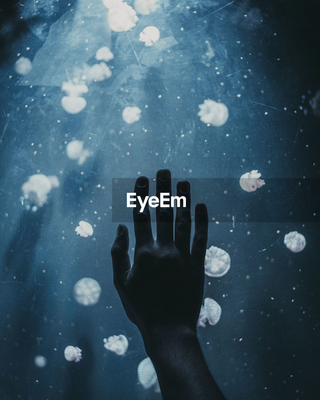 CLOSE-UP OF PERSON HAND WITH WATER