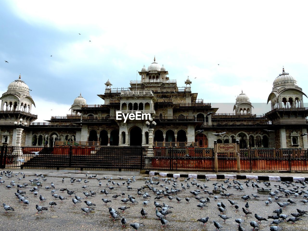 Flock of birds feeding in front of palace