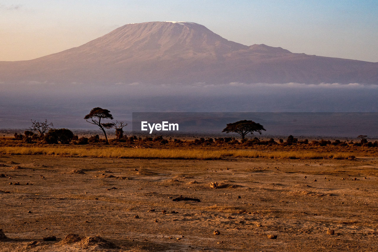 scenic view of desert against sky