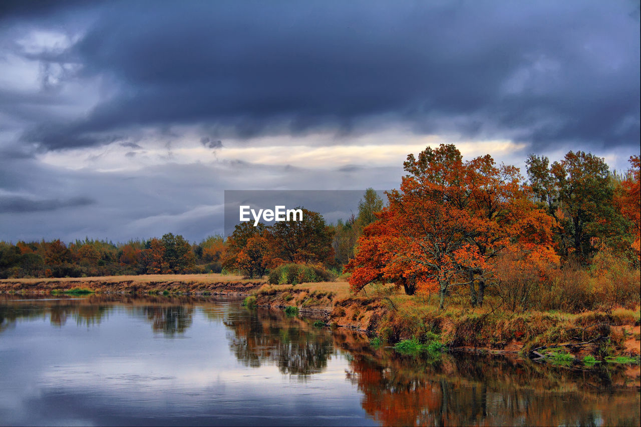 SCENIC VIEW OF LAKE BY TREES AGAINST SKY