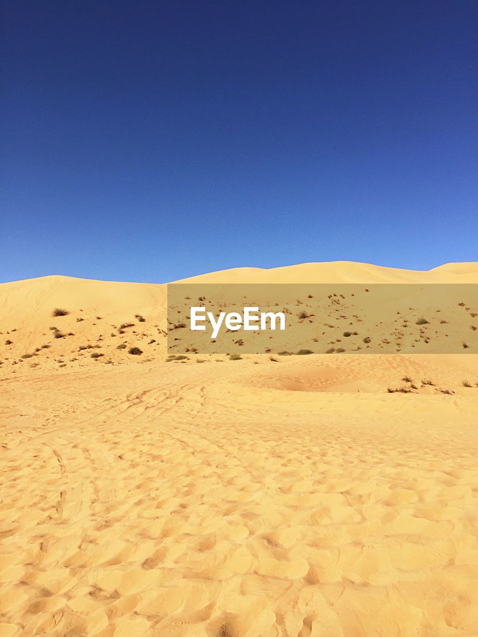 SCENIC VIEW OF SAND DUNE AGAINST CLEAR BLUE SKY