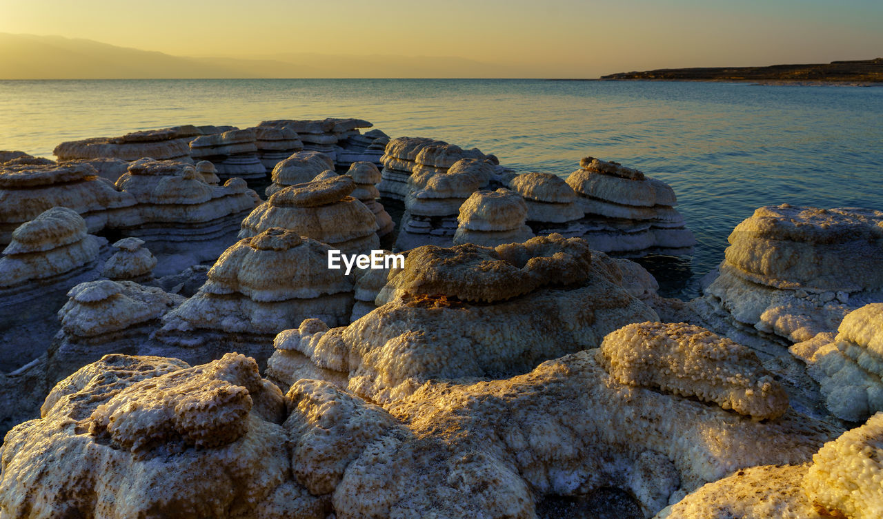 Dead sea salt mushrooms beach  against sky on sunrise 