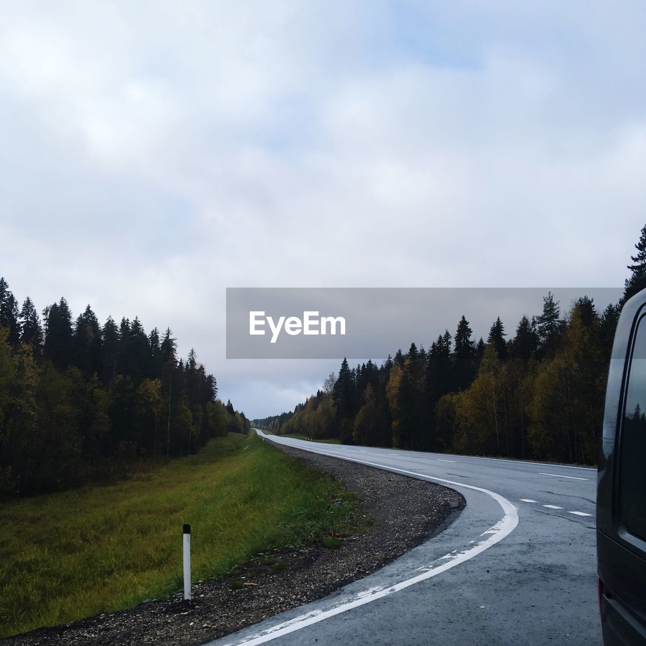 Car on road by trees against cloudy sky