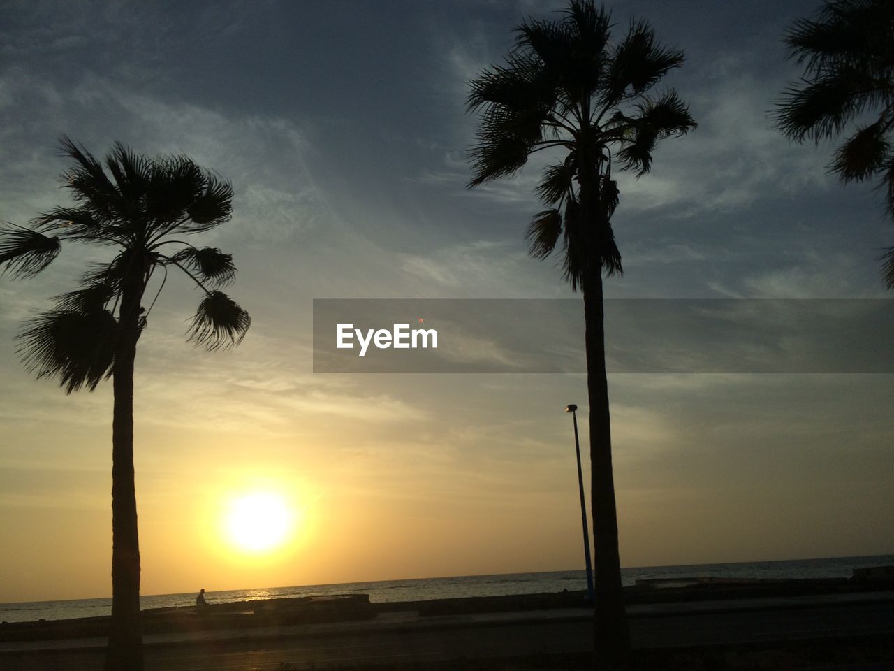 SILHOUETTE PALM TREES AGAINST SKY AT SUNSET