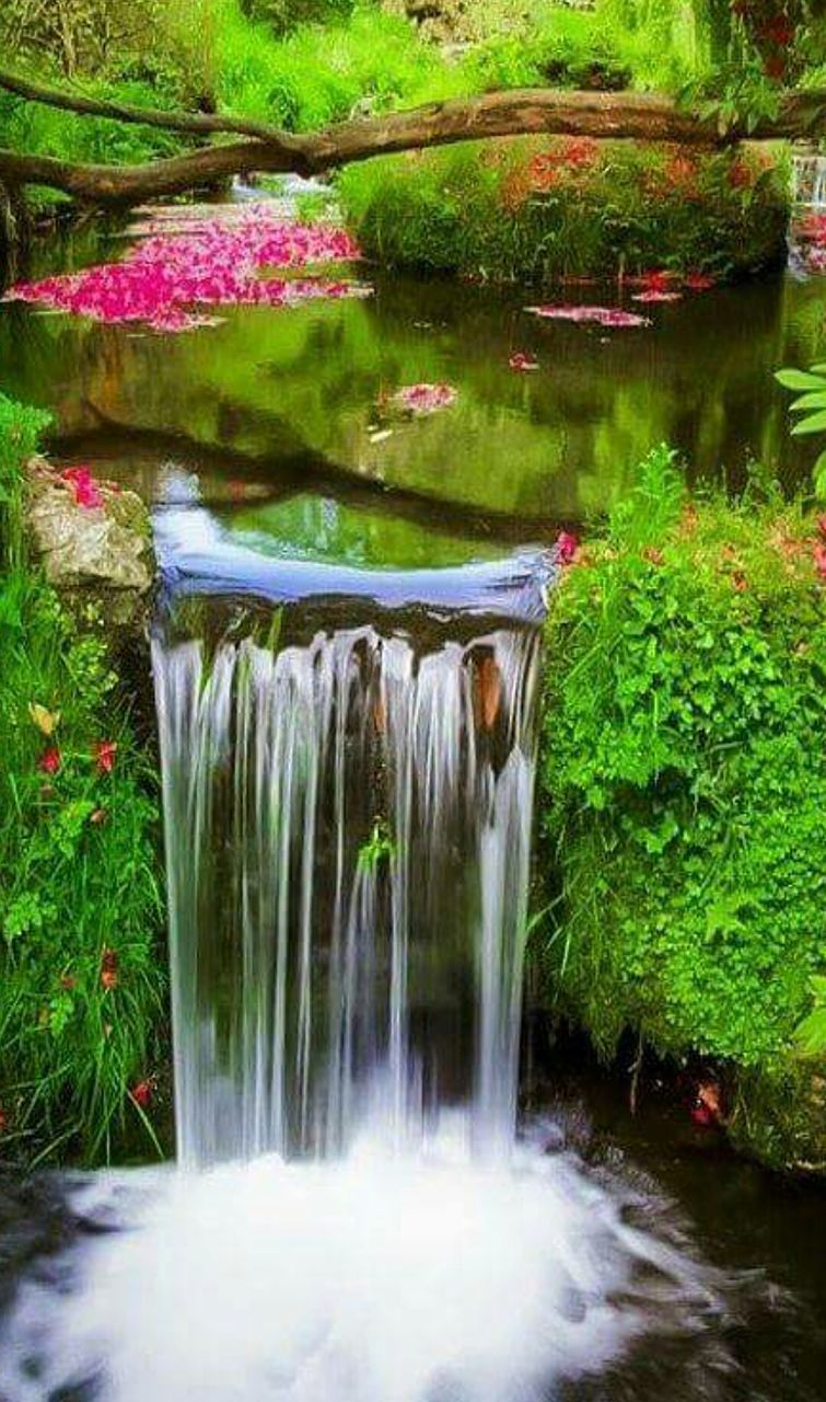 WATERFALL IN THE FOREST