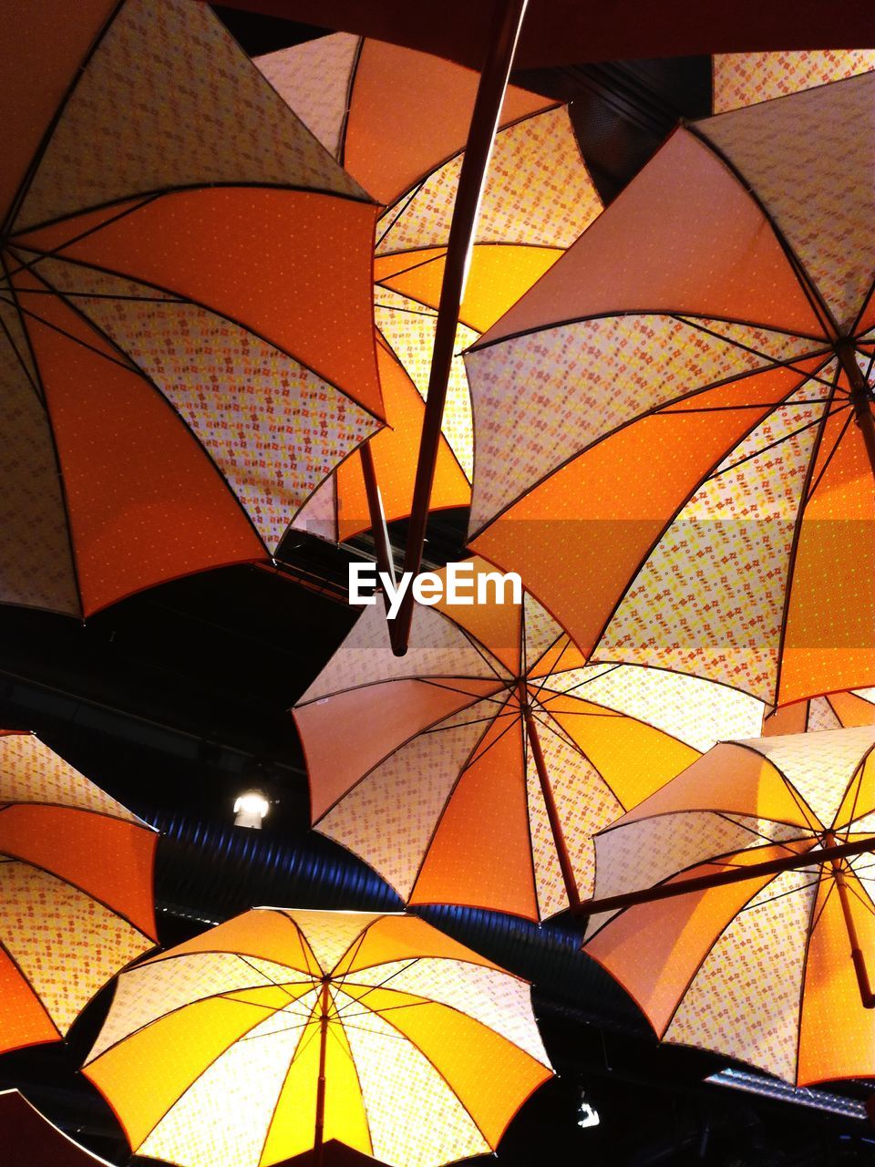 LOW ANGLE VIEW OF UMBRELLAS