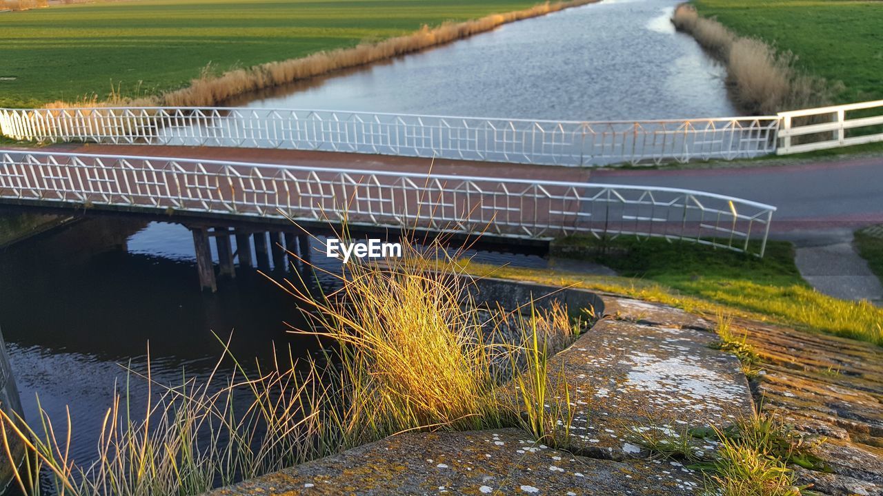 RIVER FLOWING THROUGH GRASS