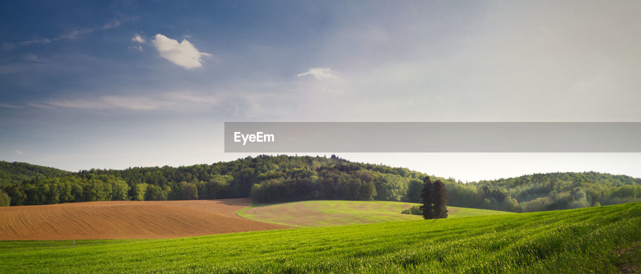 Scenic view of agricultural field against sky