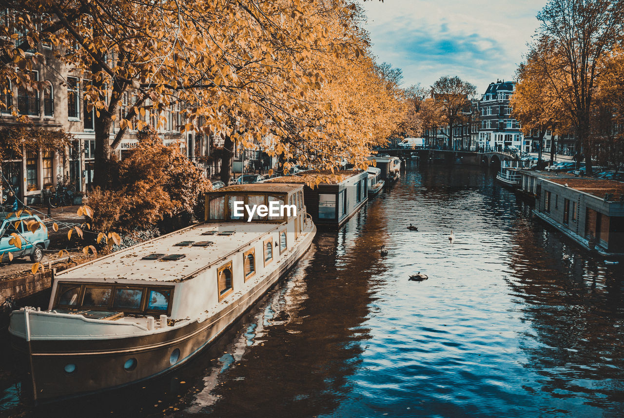 Canal amidst trees in city during autumn